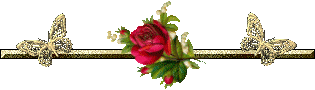 /Files/images/9a82431232081635e3fac9ce81b04b35.gif
